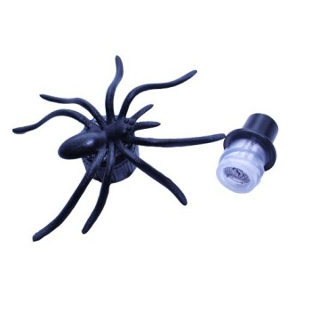 Nano Spidel Geocache
